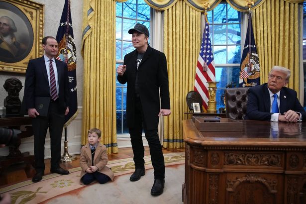 Elon Musk's bizarre Oval Office press conference as he stands beside Donald Trump in power play