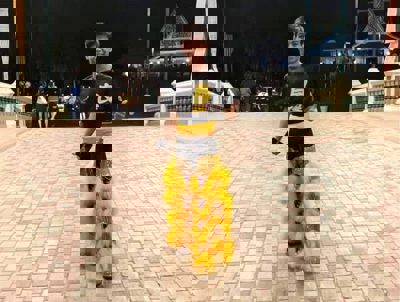 Sandakan lion dance performer dies after five-month coma from training accident