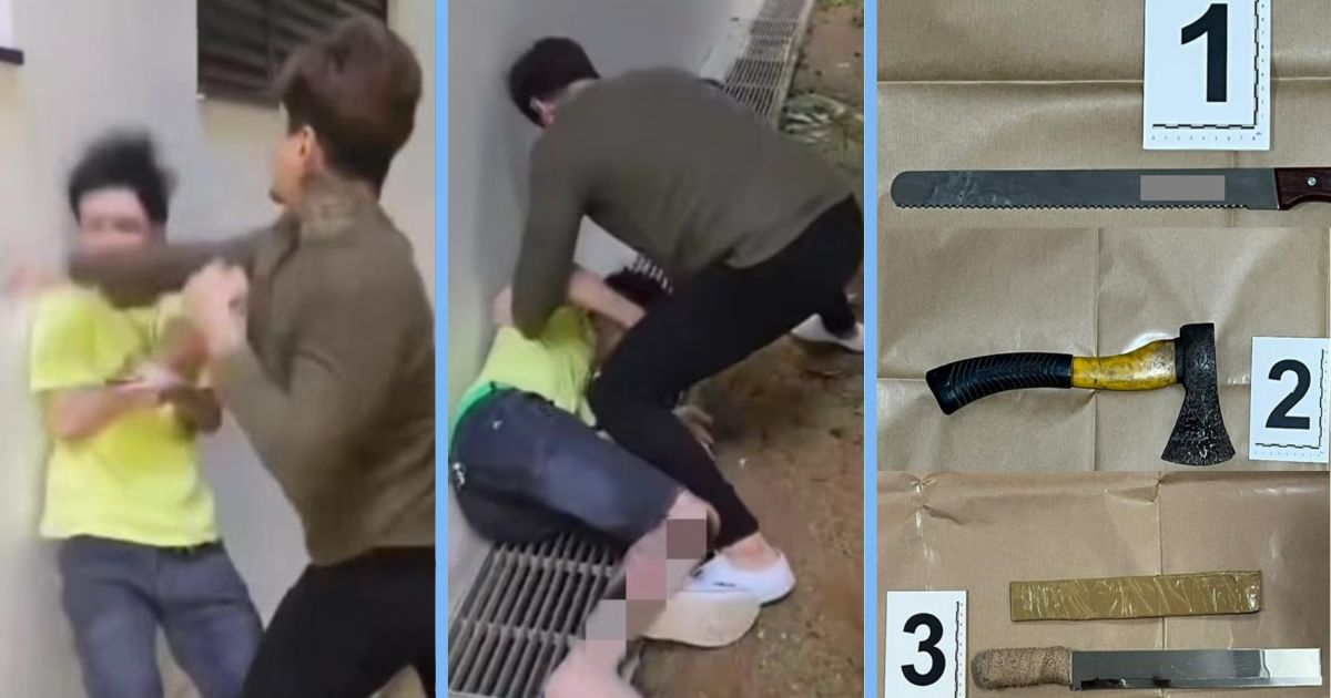 31-Year-Old Man Charged after Violent Attack Caught on Camera, Arsenal of Weapons Found in Sengkang Raid
