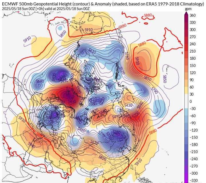 原创 风速每秒89米！美国突发EF4级龙卷风，横扫小镇后又席卷森林，摧毁百余公里树木