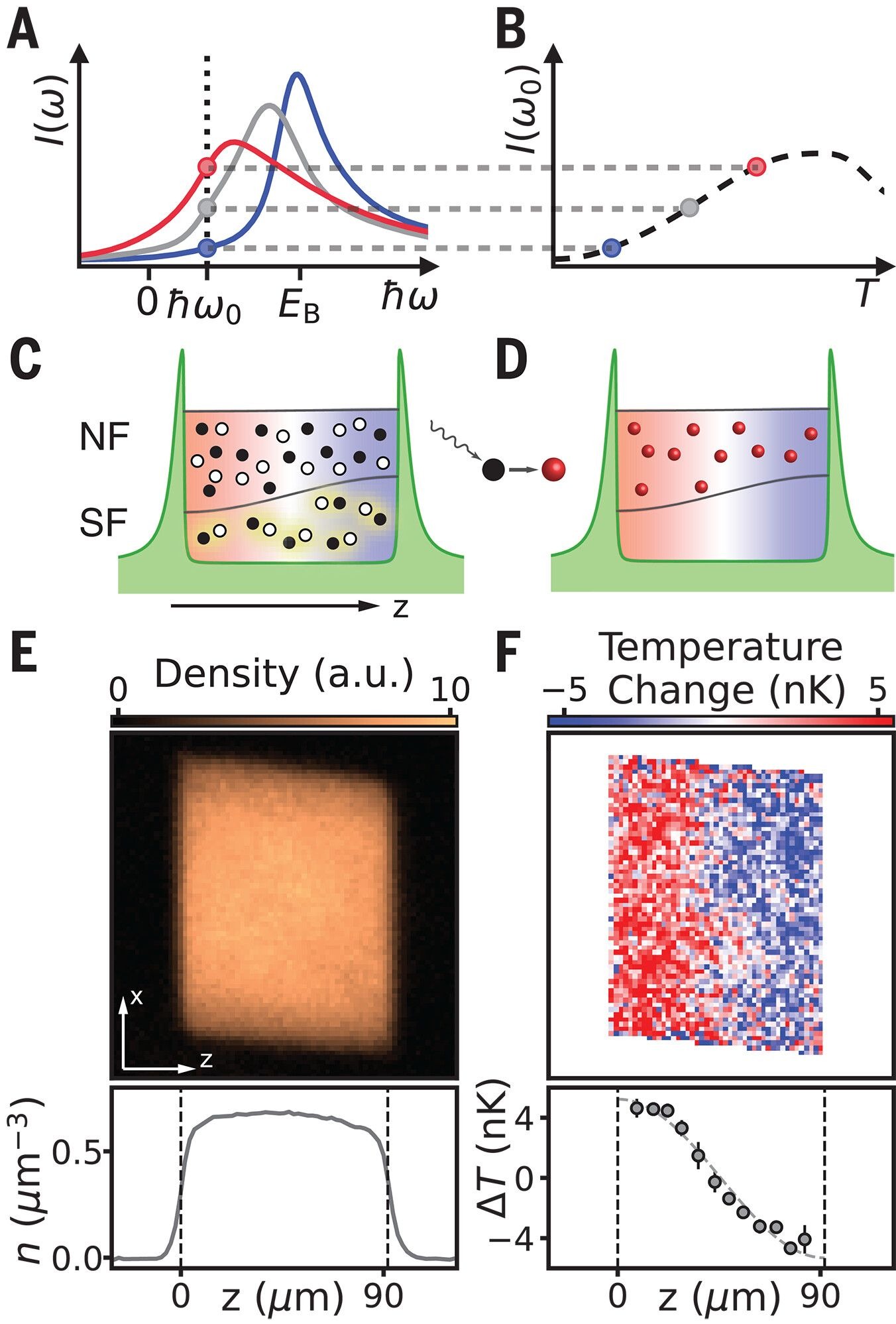 近100年求索：“第二声”现象首次被直接观测，热量也能“唱歌”