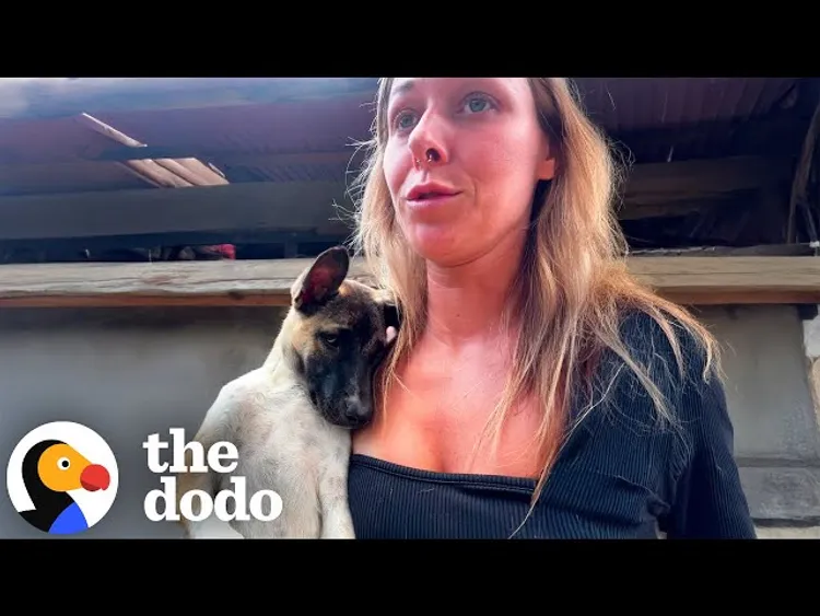 Woman Rescues Nine Dogs Left In House Without Water | The Dodo | Nestia