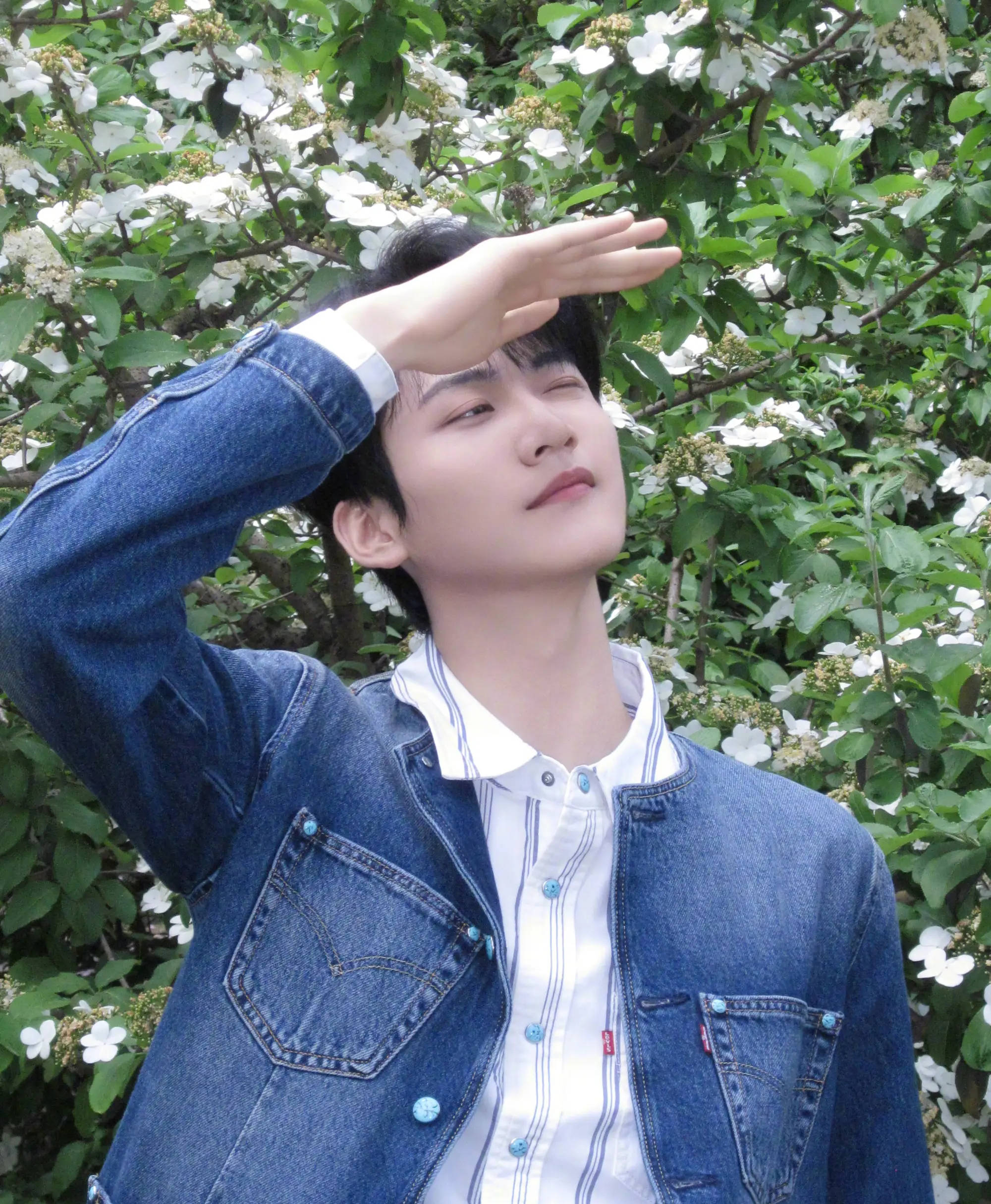 周柯宇官方粉丝团发文否认恋情 称已训诫其不文明行为