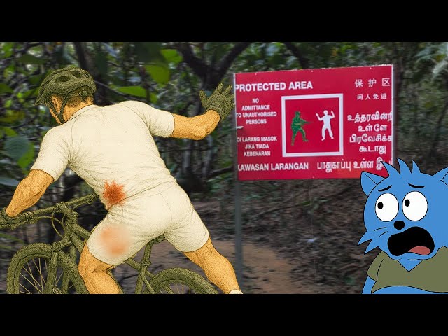 Explaining How a Civilian Got Shot Near an SAF Live-Firing Area