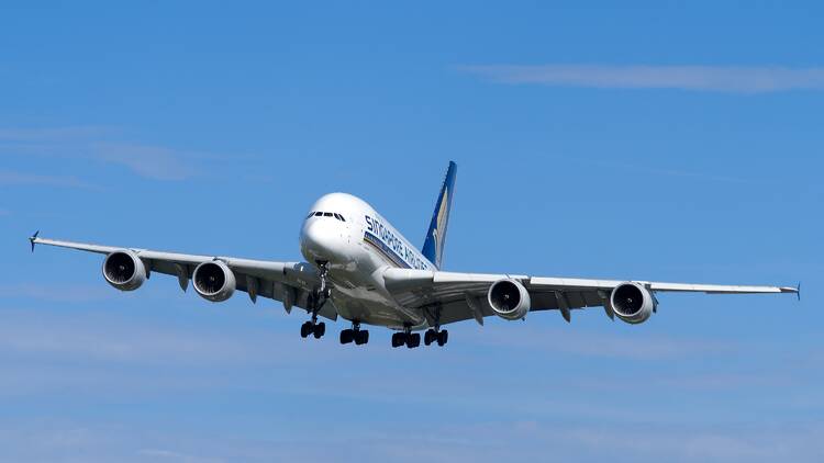 Asia's best airlines for 2025 named by Skytrax