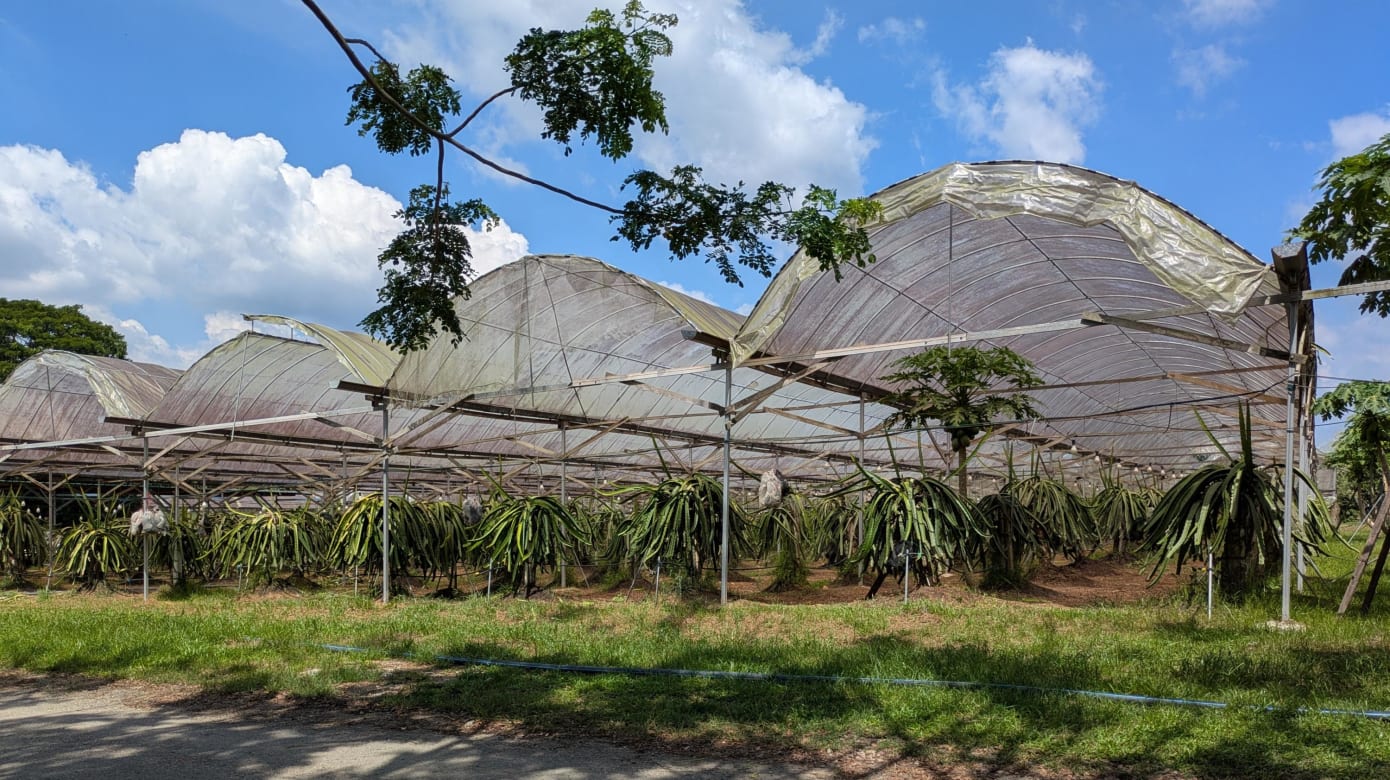 有机这样玩：居銮诚兴农场一日游