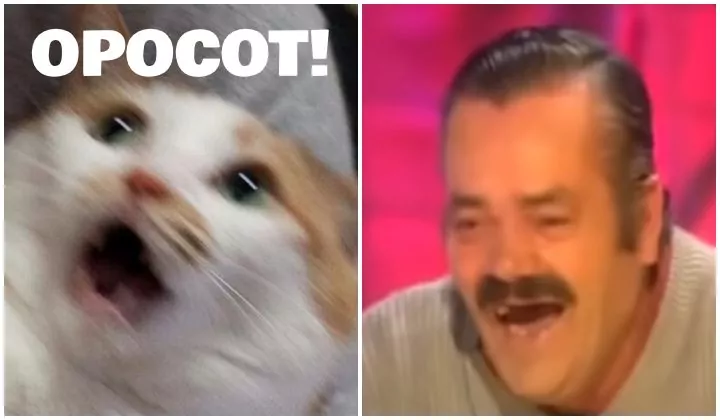 What Is Melatah And Why Do Some People Do It? Here’s What We Found