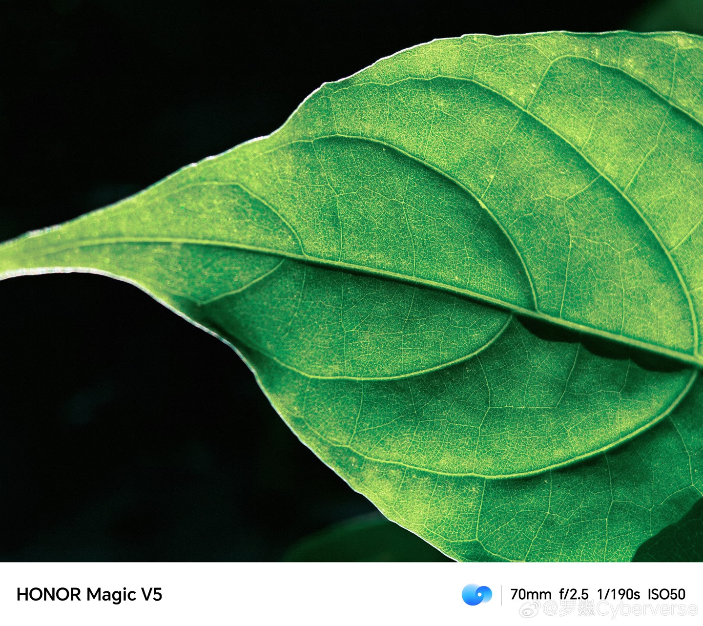 荣耀罗巍透露 Magic V5 新机支持长焦微距，号称“折叠机最强”