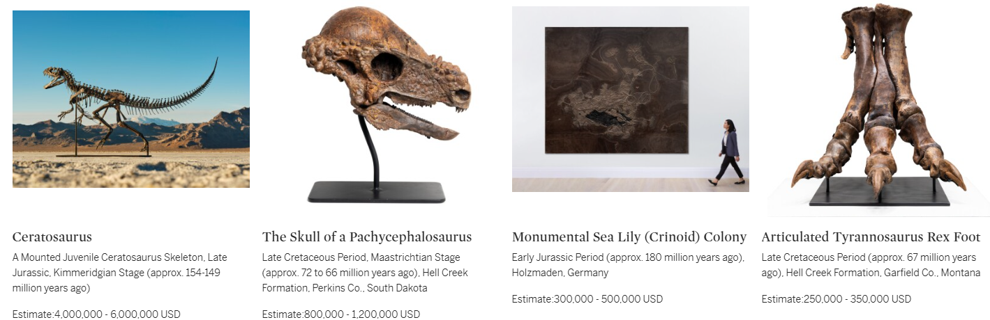 地球上最大的火星陨石碎片NWA 16788上架拍卖，估价200~400万美元