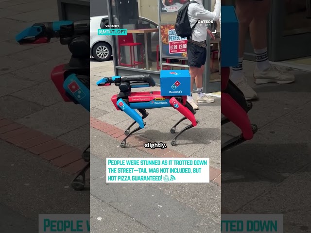 Robot Domino's Dog