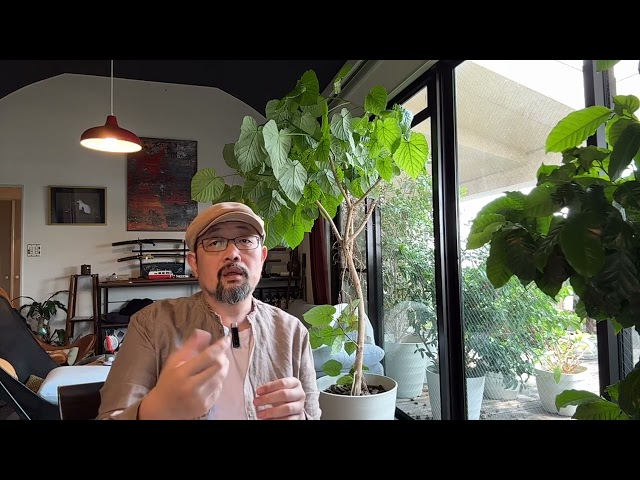 没搂住，聊个长的：天上人间头牌命案、副国级领导人命案——九十年代的治安乱象会重来一次么？｜梁海玲｜李沛瑶｜覃辉｜傅政华｜王吟秋｜戴厚英｜严打