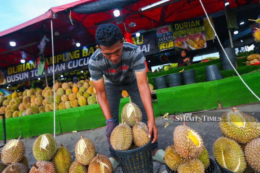With durian deluge, trader sells spiky gold for a steal