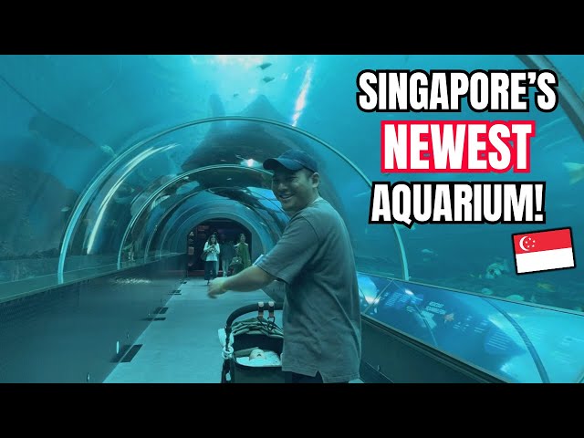 I Visit Singapore's NEWEST Aquarium - First look inside Oceanarium