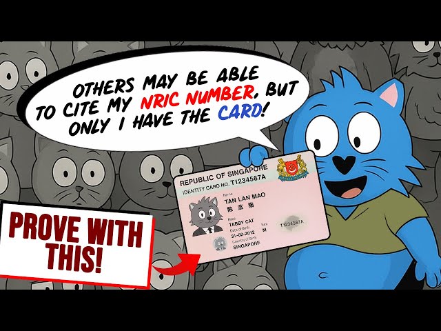 Explaining Why Your NRIC & Your NRIC Number Are Actually DIFFERENT