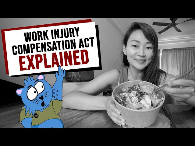 Summarising The Death of Sumo Salad Owner, Jane Lee, After Alleged Fraudulent Work Injury Claim