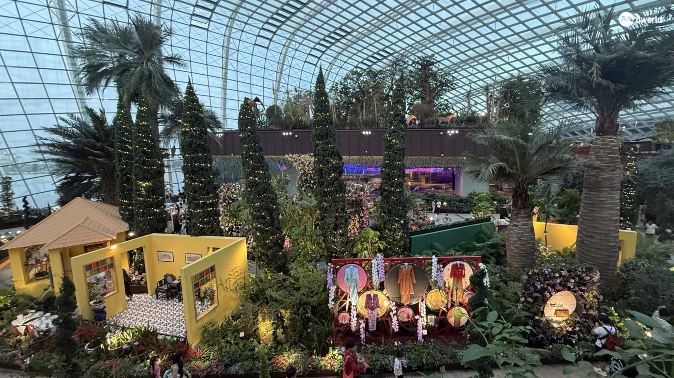 环保“光点”照亮滨海湾花园夜空 胡姬花展欢庆国庆