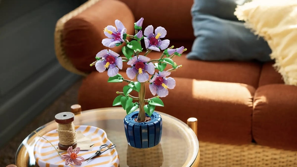 The best new Lego sets that just dropped: 'Star Wars,' 'One Piece,' and Botanicals fans will be happy