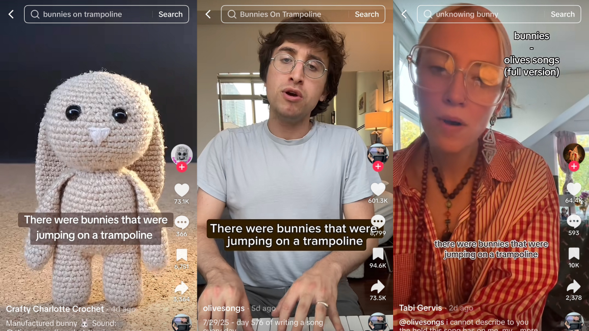 The TikTok artist behind viral 'unknowing bunny' song pits human creativity against AI illusion