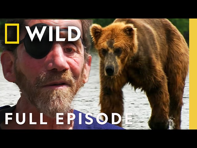 Inside a Yellowstone Grizzly Attack (Full Episode) | America the Wild | Nat Geo Animals