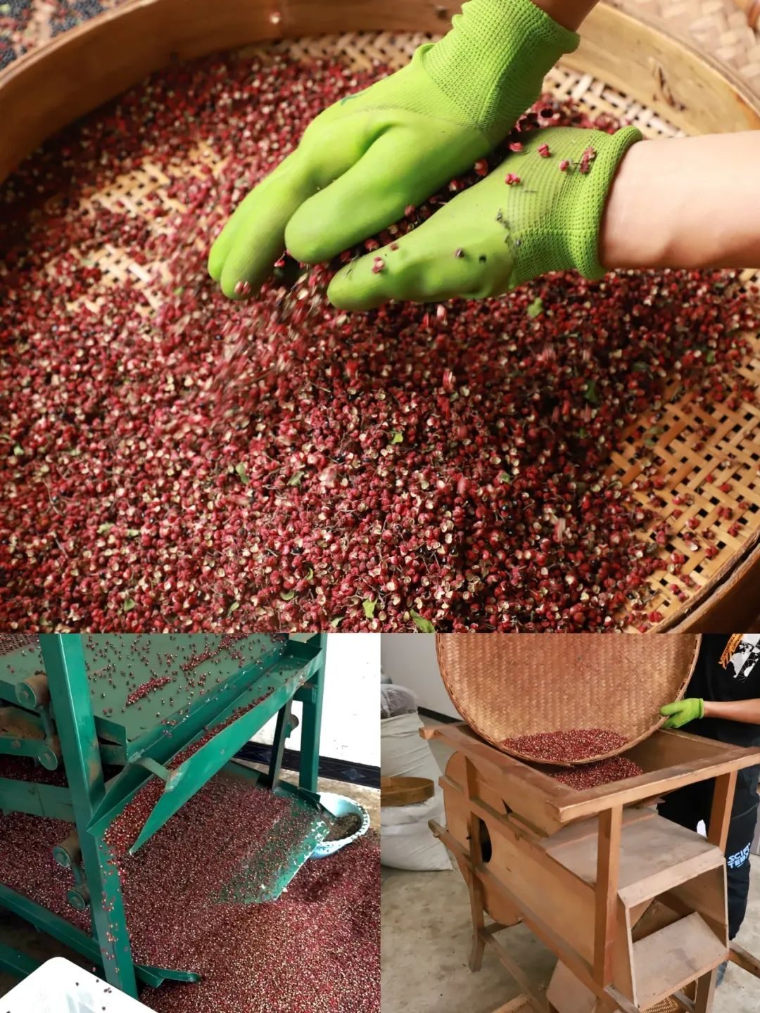 2025“大师的菜·汉源花椒”新货正式上线！采自核心产区，麻味浓郁，只做品质货！