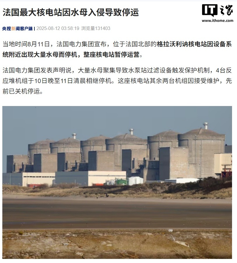 法国最大核电站因水母入侵导致暂停运营