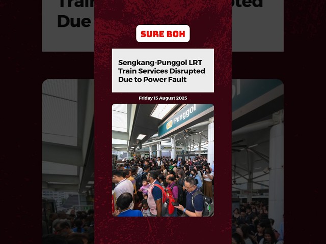 Sengkang-Punggol LRT Train Services Disrupted Due to Power Fault