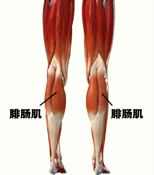 第一网红“芙蓉姐姐”消失17年后，回归惊艳众人，从全民嘲讽到身价过亿，她到底经历了什么？