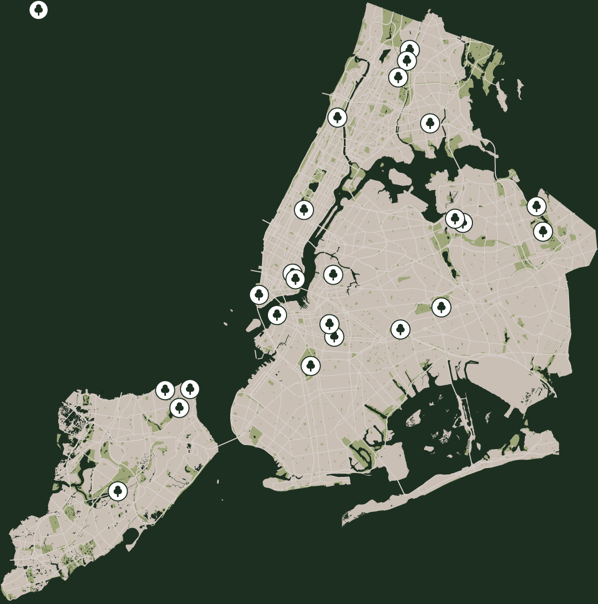 Take a Closer Look at These ‘Great’ New York City Trees