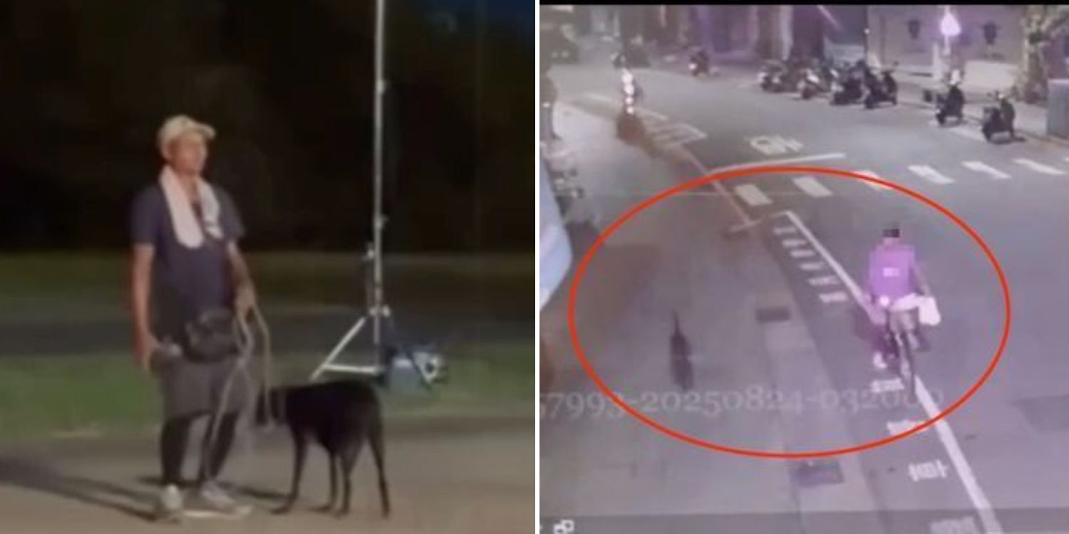 Homeless man in Taiwan steals dog from parked boat, abuses it to death