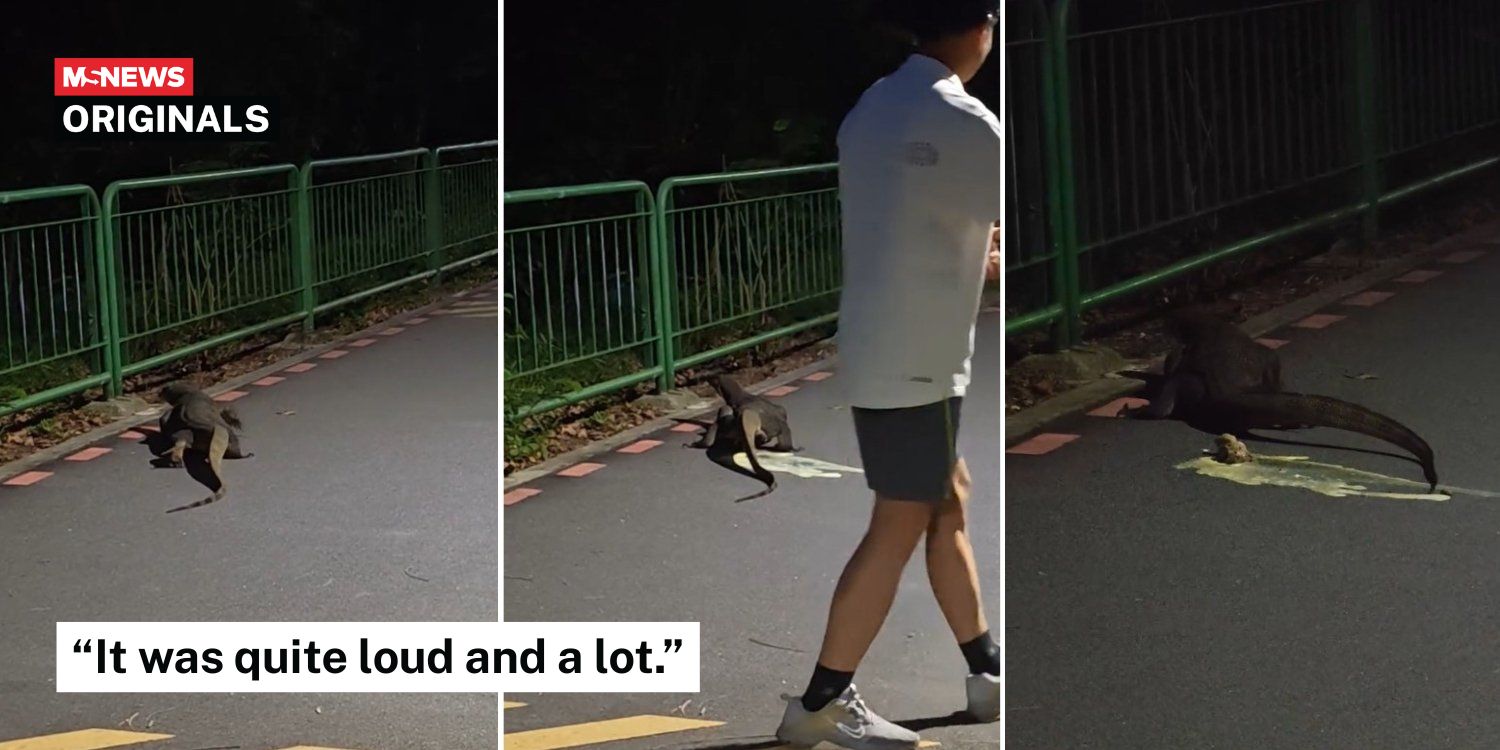 Monitor lizard loudly defecates on Hougang pcn, runny poop flows down path