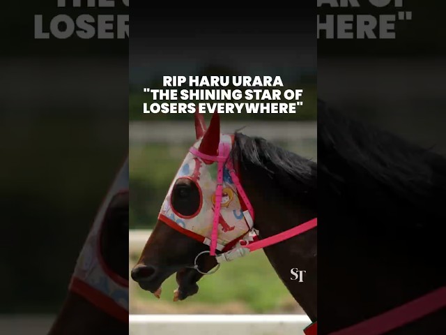 Haru Urara, ‘the shining star of losers everywhere’, dies at age 29