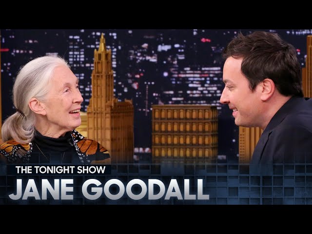 Remembering Dr. Jane Goodall | The Tonight Show Starring Jimmy Fallon