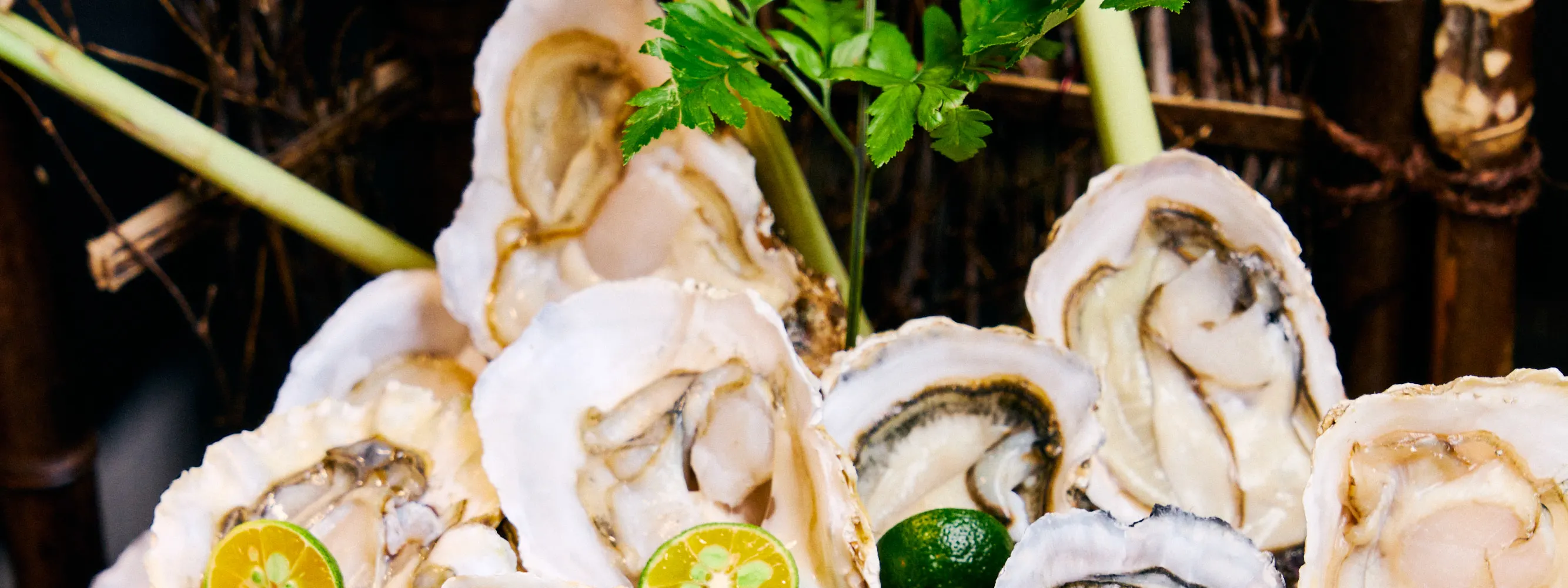 深圳圣诞2025｜深圳圣诞自助餐8大推荐！五星级酒店豪叹海鲜火鸡+奢华游轮抽奖