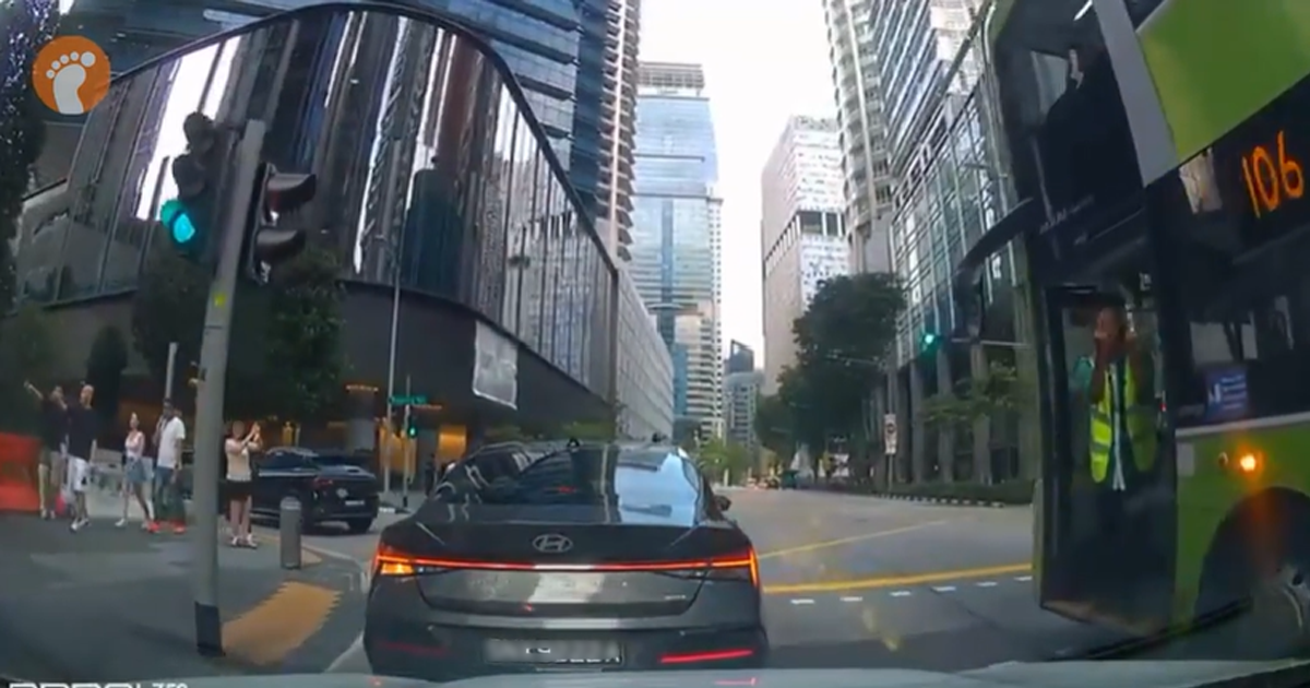 Tower Transit suspends bus captain seen stopping vehicle to flash his middle fingers