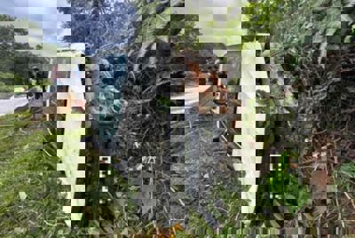 Muay Thai boxer dies after being hit by pickup truck in Gua Musang