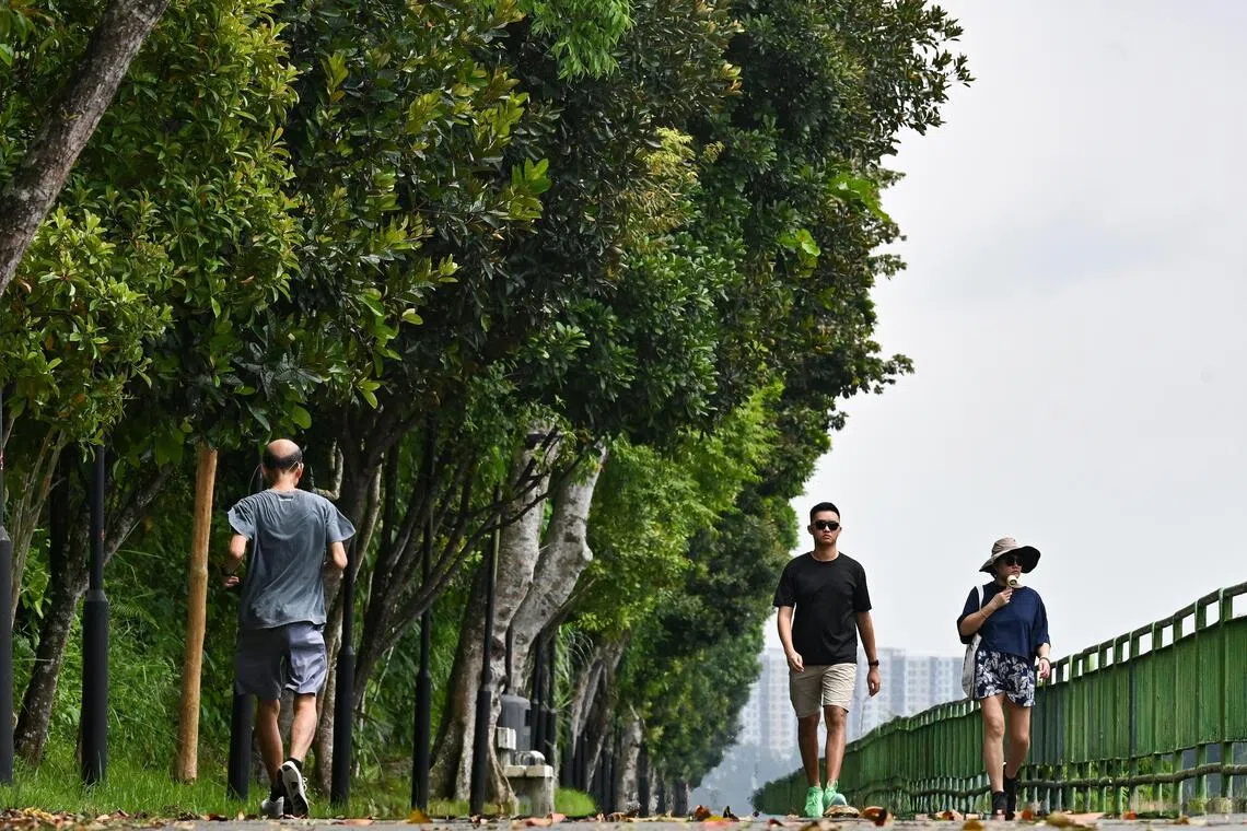 LumiHealth programme to end on May 31 after six years