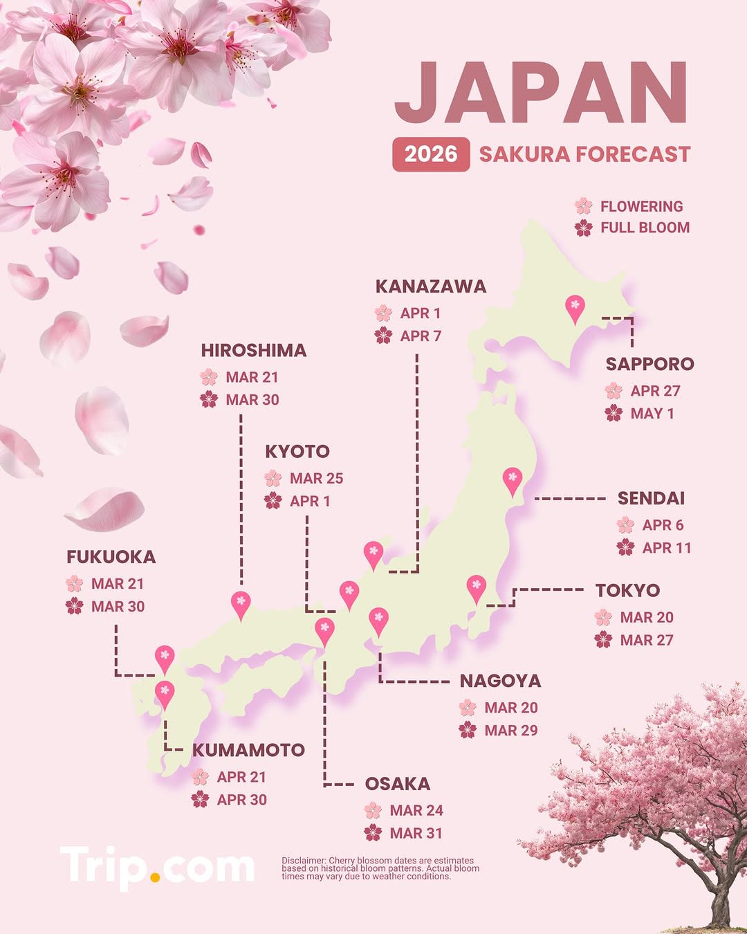 春天已经在悄悄向你招手了！2026年“中日韩台”最全赏樱攻略