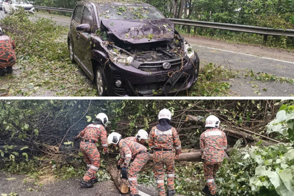 Terrifying ordeal: Six unharmed as fallen tree smashes two cars in Seremban