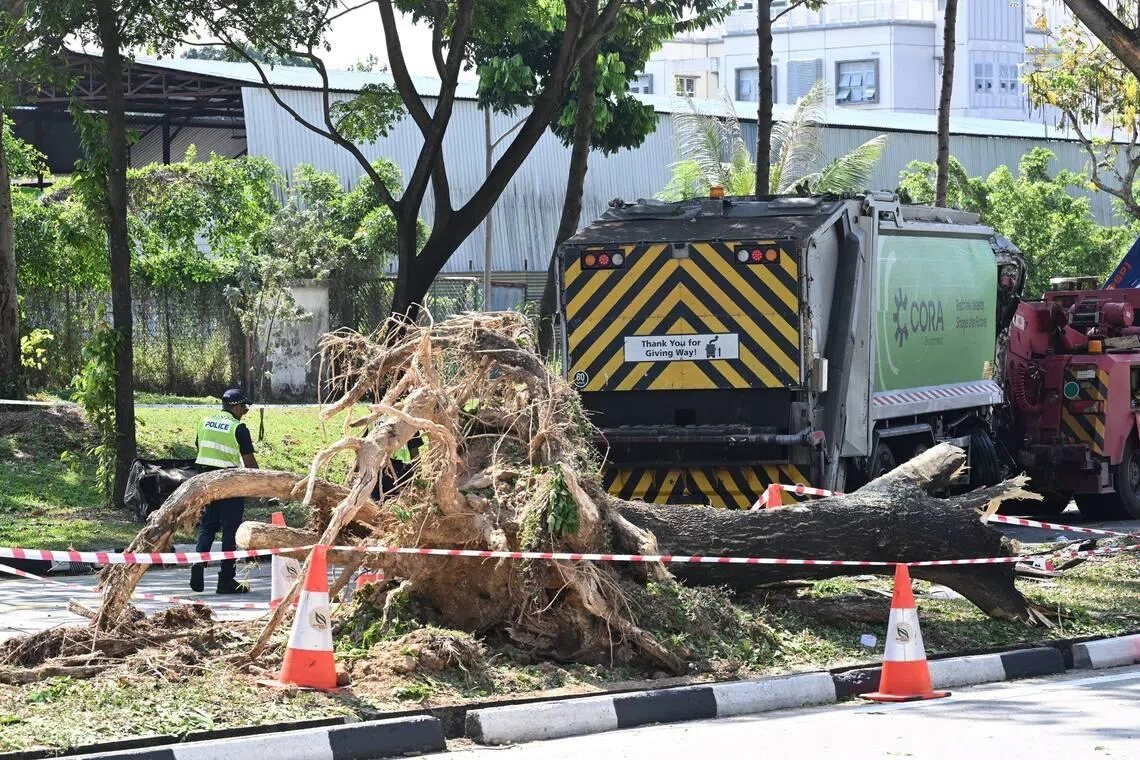 3 workers taken to hospital after refuse truck hits tree in Hougang