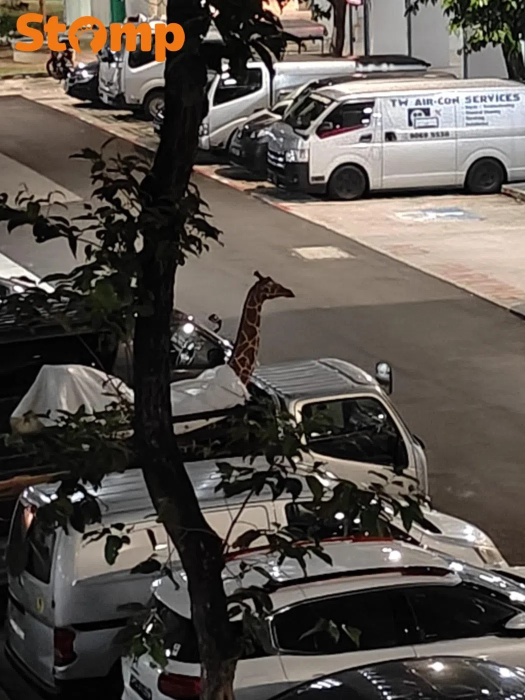 Only in Yishun? ‘Giraffe’ spotted on lorry near HDB block