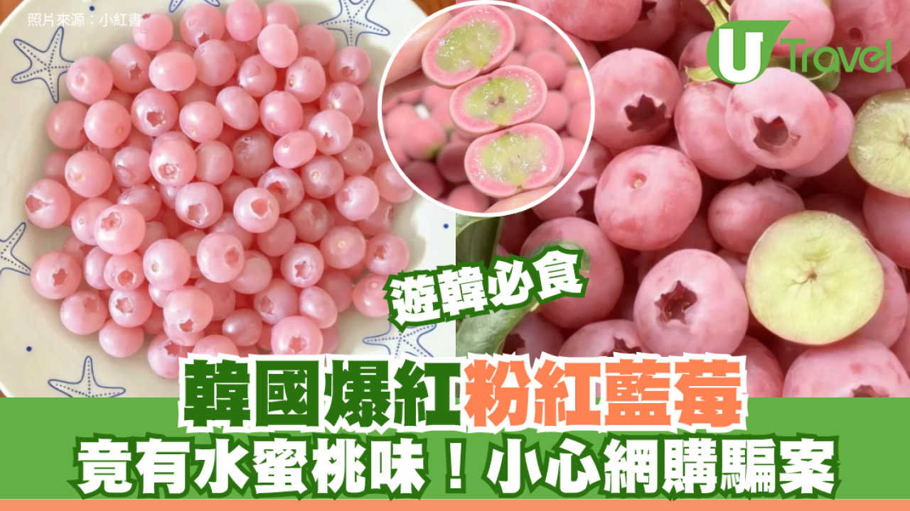 韩国爆红梦幻「粉红蓝莓」自带水蜜桃香 拆解变色之谜！功效/甜度同蓝莓有咩分別？