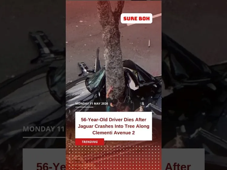 56-Year-Old Driver Dies After Jaguar Crashes Into Tree Along Clementi ...