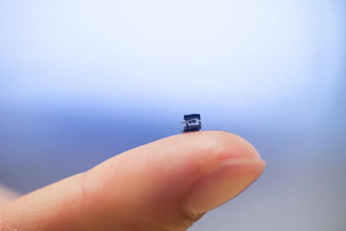 Tiny robots developed by NTU could be your future surgeon | Nestia