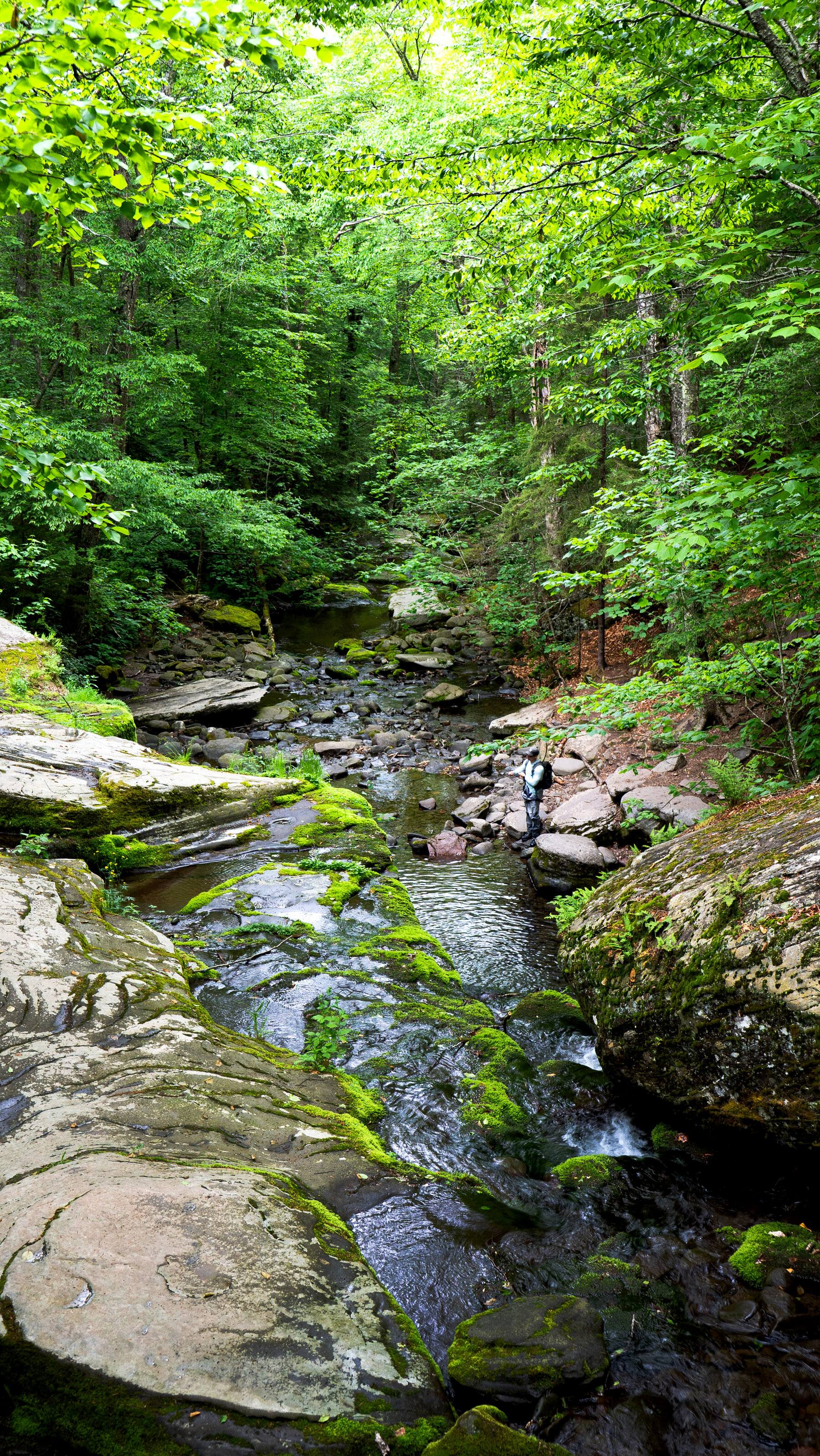 36 Hours in the Catskills, N.Y.