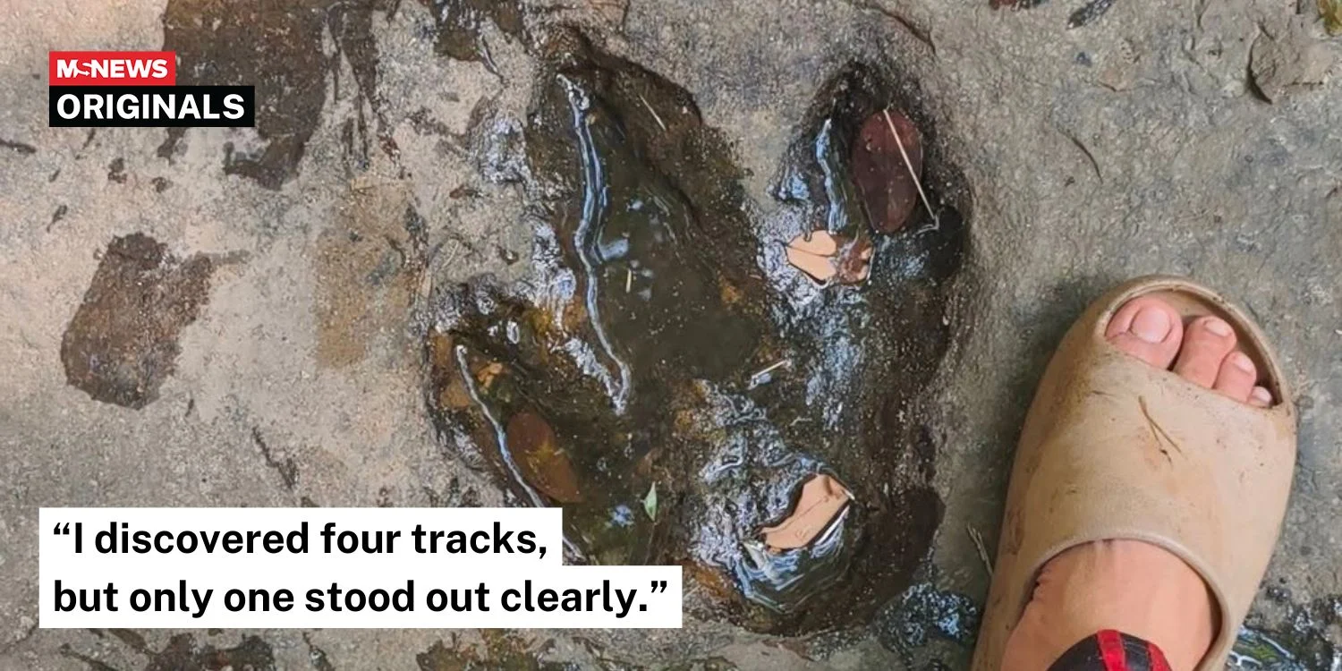 Man encounters suspected dinosaur footprints in Thai forest, authorities confirm fossils are real